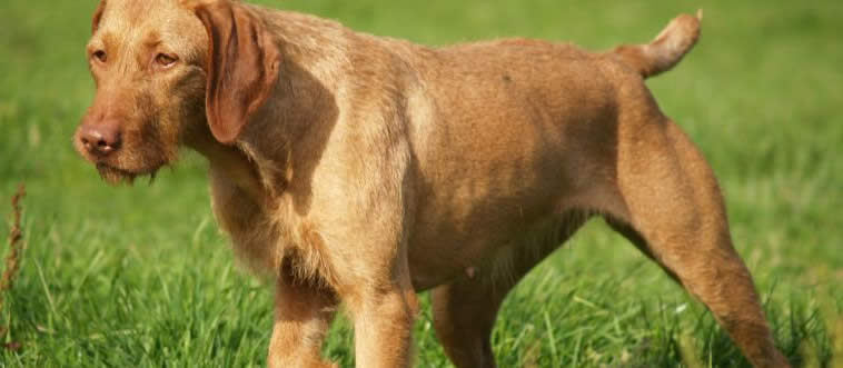 Quiz Image